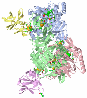 Image Asym./Biol. Unit - sites