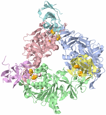 Image Asym./Biol. Unit