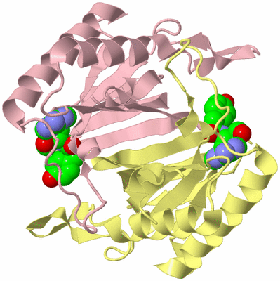 Image Biological Unit 2