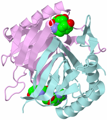 Image Biological Unit 3