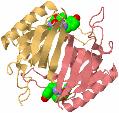 Image Biological Unit 4