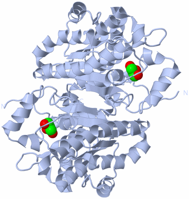 Image Biological Unit 2