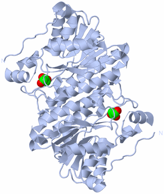 Image Biological Unit 3