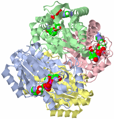 Image Asym./Biol. Unit