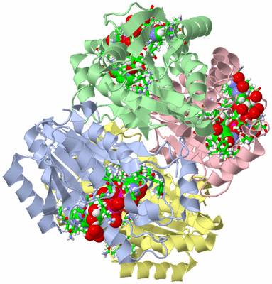 Image Asym./Biol. Unit - sites