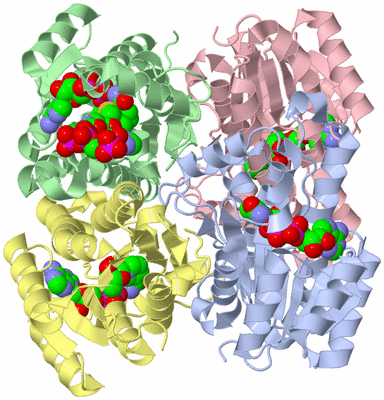 Image Asym./Biol. Unit