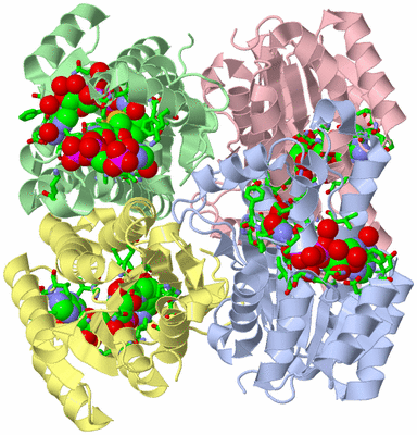 Image Asym./Biol. Unit - sites