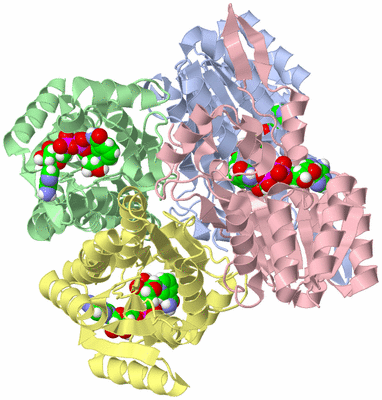 Image Asym./Biol. Unit