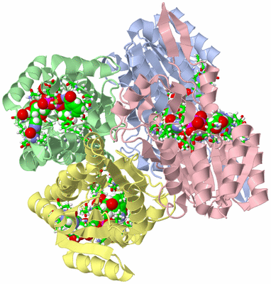 Image Asym./Biol. Unit - sites