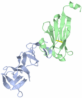 Image Biological Unit 1