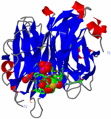 Image Asym./Biol. Unit - sites