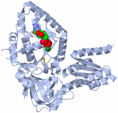 Image Biological Unit 1