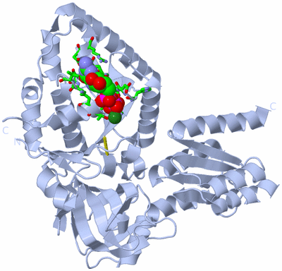 Image Biol. Unit 1 - sites