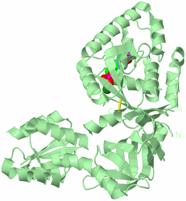 Image Biological Unit 2