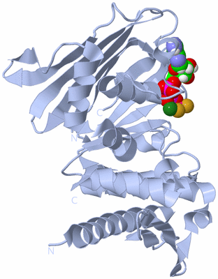 Image Biological Unit 1