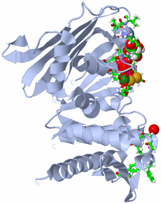 Image Biol. Unit 1 - sites