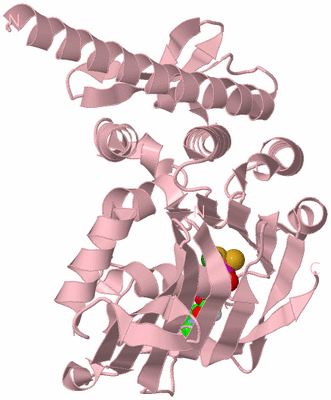 Image Biological Unit 3