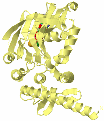 Image Biological Unit 4