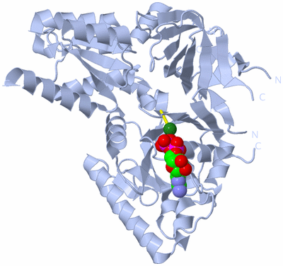 Image Biological Unit 1