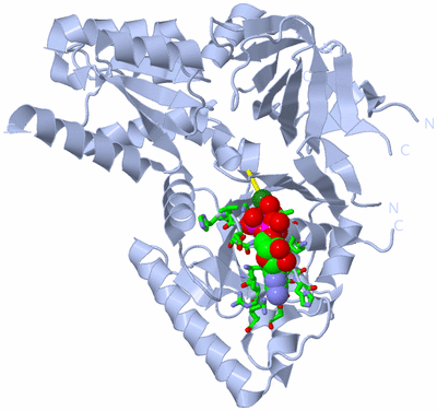 Image Biol. Unit 1 - sites