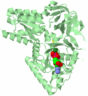 Image Biological Unit 2