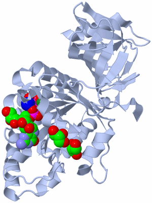 Image Biological Unit 1