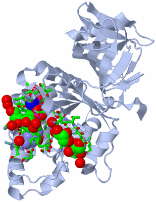 Image Biol. Unit 1 - sites