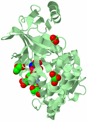 Image Biological Unit 2