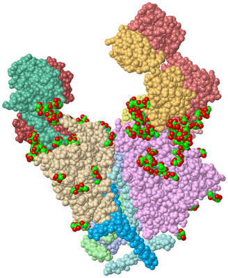 Image Asym./Biol. Unit