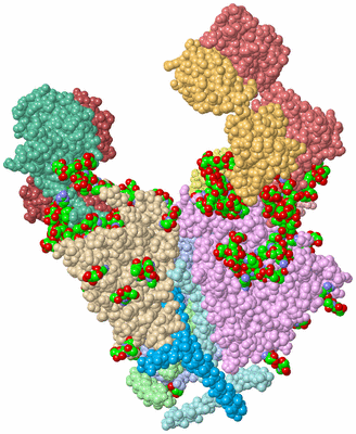 Image Asym./Biol. Unit - sites