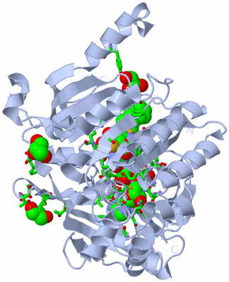 Image Biol. Unit 1 - sites