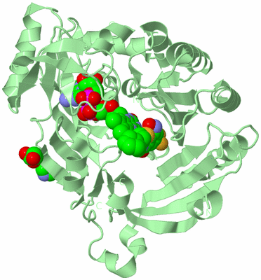 Image Biological Unit 2