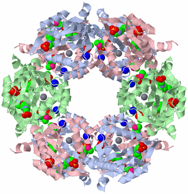 Image Biological Unit 1