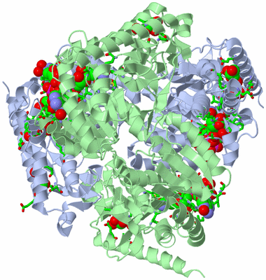 Image Biol. Unit 1 - sites