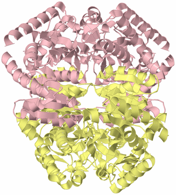 Image Biological Unit 2