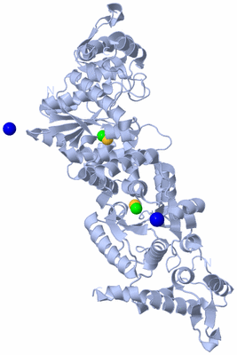 Image Biological Unit 1