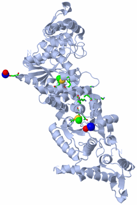 Image Biol. Unit 1 - sites