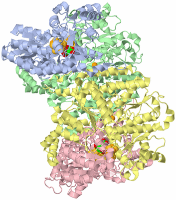 Image Asym./Biol. Unit