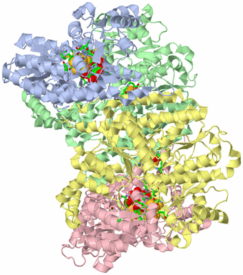 Image Asym./Biol. Unit - sites