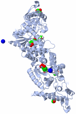 Image Biological Unit 1