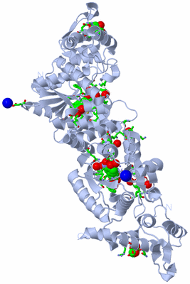 Image Biol. Unit 1 - sites