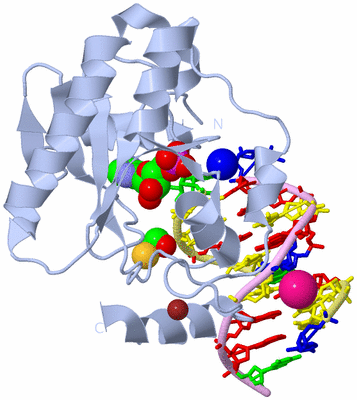 Image Biological Unit 1