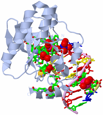 Image Biol. Unit 1 - sites