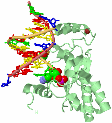 Image Biological Unit 2