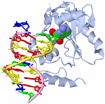 Image Biological Unit 1