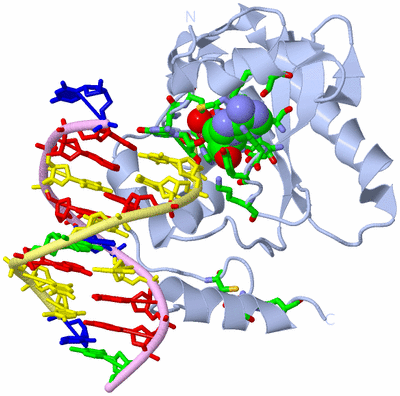 Image Biol. Unit 1 - sites