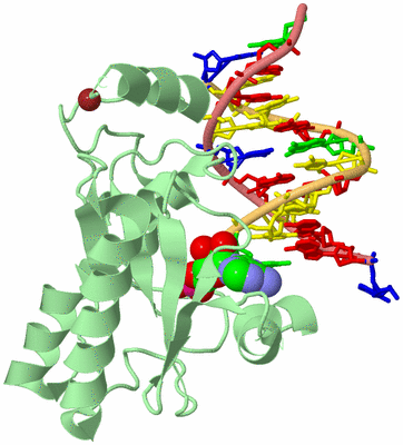 Image Biological Unit 2