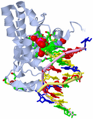 Image Biol. Unit 1 - sites