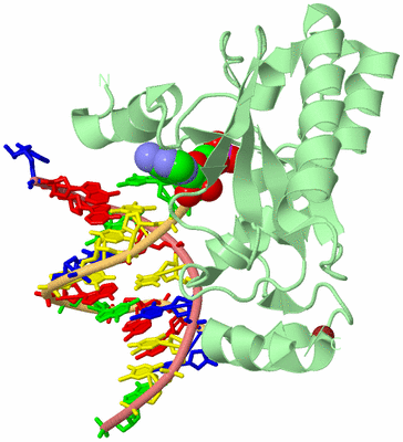 Image Biological Unit 2