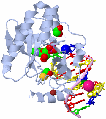 Image Biological Unit 1